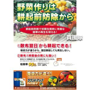 ラウンドアップマックスロード 5L 500ml...の詳細画像3