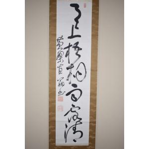 茶道具 掛軸 黄檗山 萬福寺48代管長 義道 弘貫 「月點波心一顆珠