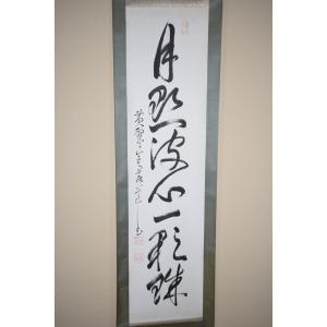 茶道具 掛軸 大徳寺 高桐院 松長 剛山 「今日是好日」 掛け軸 01-7806