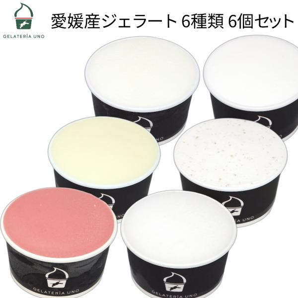 ギフト 愛媛産 ジェラートアイスクリーム  6種類 6個 セット 詰め合わせ ジェラート お菓子 2...