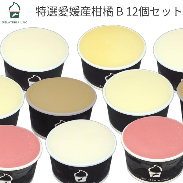 特選愛媛産柑橘 ジェラート 12個セット 紅まどんな 甘平 せとか 不知火 いよかん ブラッドオレン...