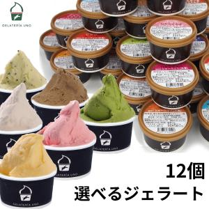 アイスクリーム 愛媛産 ジェラート 20種類から 選べる 12個 詰め合わせ お誕生日 プレゼント お祝い お礼 お返し お菓子 母の日 2024 ギフト