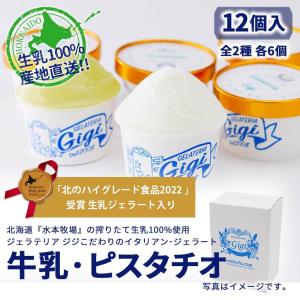 【完売続出】ピスタチオ&ミルクジェラート 12個 | 濃厚2種の人気セット | ギ...