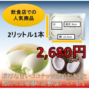 訳あり　業務用　ココナッツ　アイスクリーム　ジェラート　アイス　ココナッツミルクアイス2000ml