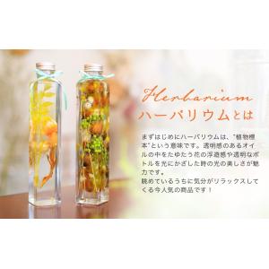 自分で作れる ハーバリウムボールペン 手作りキ...の詳細画像1