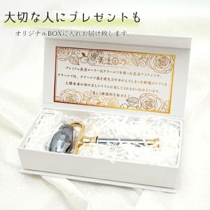 【健康ストーン】 高純度 テラヘルツ セレブロ...の詳細画像4