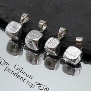 プレートペンダント✨隕石の粉入り✨ギベオン カンポデルシエロ