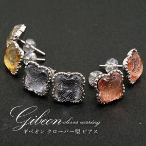 No.51 天然石アクセサリー オパライズドウッド ピアス イヤリング 一点物】 オパライズドウッド ピアス イヤリング インドネシア産