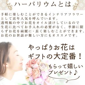 【小 プティ】 リンゴの置物 Apple je...の詳細画像3