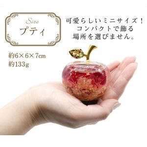 【小 プティ】 リンゴの置物 Apple je...の詳細画像4
