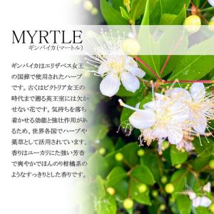 ハーバリウムアロマスタンプ ギンバイカ 弊社オ...の詳細画像2