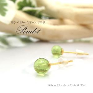 一点物】 オパライズドウッド ピアス イヤリング インドネシア産