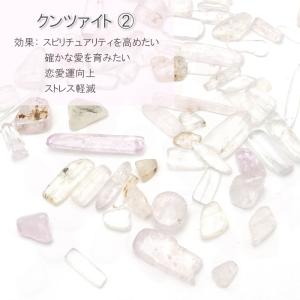 プチさざれ 11種類 穴なし クンツァイト ラ...の詳細画像1