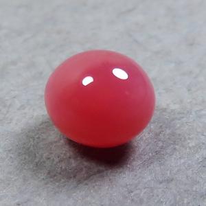 トリダクナパール(シャコ真珠)(1.92ct) : ジェムインターネットTOKYO