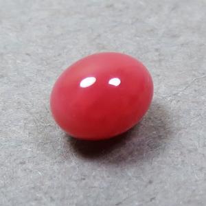 トリダクナパール(シャコ真珠)(1.92ct) : ジェムインターネットTOKYO