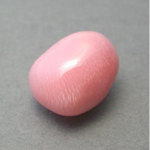 トリダクナパール(シャコ真珠)(1.92ct) : ジェムインターネットTOKYO