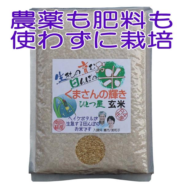 くまさんの輝き ひとつ星 玄米,5kg,【令和４年産】,ヘイケボタルが生息する田んぼのお米,無農薬,...