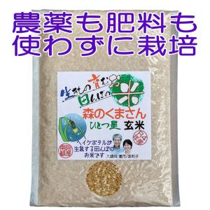 森のくまさん ひとつ星 玄米,5kg,【令和４年産】,ヘイケボタルが舞う田んぼで獲れたお米,無農薬,無肥料,送料無料,平日の月/水/金に発送｜gen-mai-ya-yho