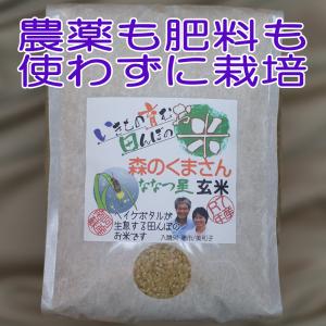 森のくまさん ななつ星 玄米,5kg,令和７年産,ヘイケボタルが生息する田んぼのお米,無農薬,無肥料,平日の月/水/金に発送