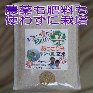 あっさり米 ななつ星 玄米,5kg,令和７年産,ヘイケボタルが生息する田んぼのお米,無農薬,無肥料,平日の月/水/金に発送