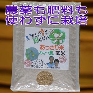 あっさり米 みっつ星 玄米,5kg,令和６年産,ヘイケボタルが棲む田んぼのお米,無農薬,無肥料,平日の月/水/金に発送