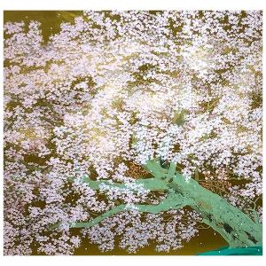 東山魁夷 静映 リトグラフ 東山すみ承認作 新復刻画 500部限定 額装品