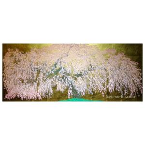 中島 千波 光善寺の枝垂れ桜 200部限定 シ...の詳細画像2