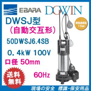 エバラポンプ 自動形 水中ポンプ 汚水用 排水ポンプ 40DSA5.25S 40DSA5