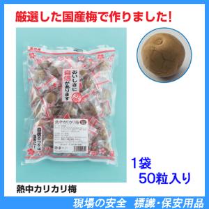 熱中カリカリ梅 HO-34 1袋×50粒 熱中症対策