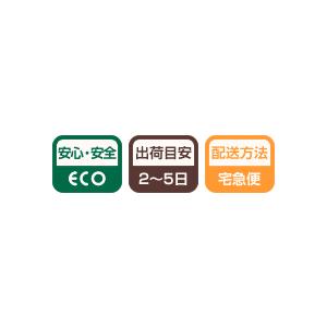 イラスト標識:安全通路 両矢印(左矢印・右矢印...の詳細画像1