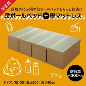 防災 避難 備え ユニット 畳 ベッド 段ボール シングル 約100×200cm 5連 ihk-1040160011016 送料無料 北欧 モダン 家具 インテリア ナチュラル テイスト 新｜genco1