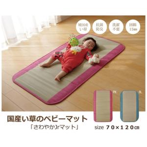い草ごろ寝マット 純国産 さわやか R縁Jrマット 約70×120cm 中:固わた15mm ブルー ...