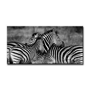 CANVAS ART キャンバスアート Zebra-Mono ゼブラ Lサイズ W1000×H500...