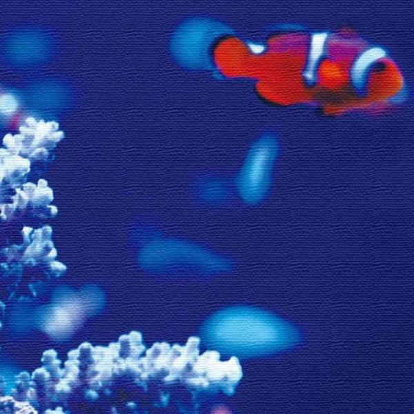 カクレクマノミ FISH Lサイズ 57cm×57cm アートパネル ファブリックパネル アートボー...
