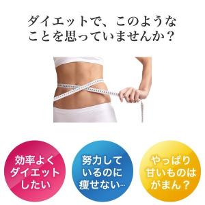 【公式】ダイエット肥満遺伝子検査キット Gen...の詳細画像2