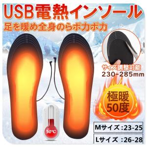 電熱インソール 中敷き ヒートインソール 防寒対策 電熱防寒具