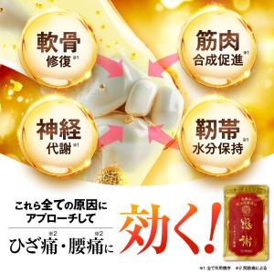 【第3類医薬品】カンシャ ひざ痛 膝痛 腰痛 ...の詳細画像2