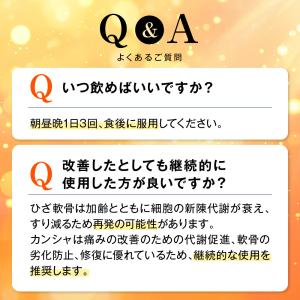 【第3類医薬品】カンシャ ひざ痛 膝痛 腰痛 ...の詳細画像4