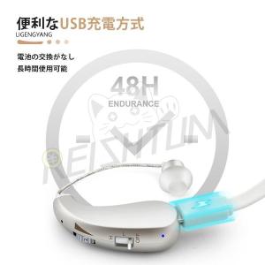 補聴器 充電式 難聴 デジタル補聴器の詳細画像4