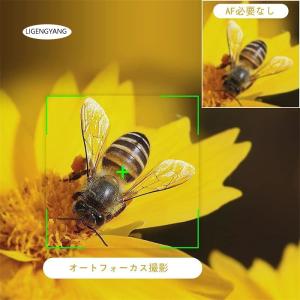 デジカメ デジタルカメラ 5600万画素 4K...の詳細画像2