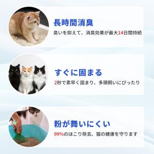 新入荷 9L 8KG Neakasa M1猫自...の詳細画像2