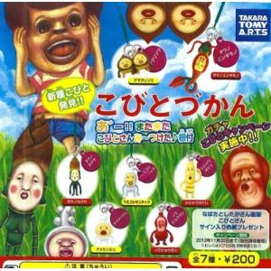 こびとづかん新種の商品一覧 通販 Yahoo ショッピング