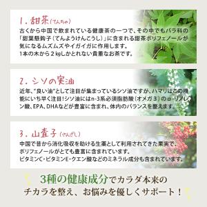 甜茶α てんちゃアルファ 1袋(120粒入/約...の詳細画像2