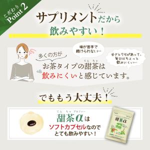 【クリックポスト便 送料無料】甜茶α てんちゃ...の詳細画像4