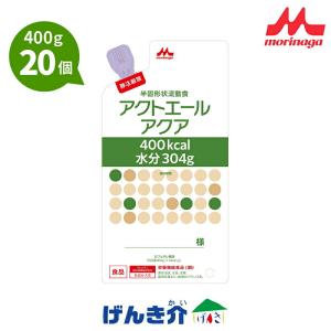 PG電動ポンプQ PE-PR40DP（電動ポンプのみ） 経管栄養 ニュートリー