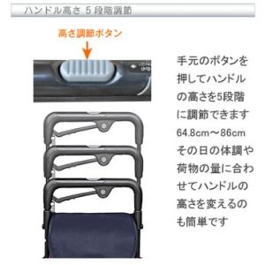 【送料無料】ウォーキングキャリー iカート ア...の詳細画像1