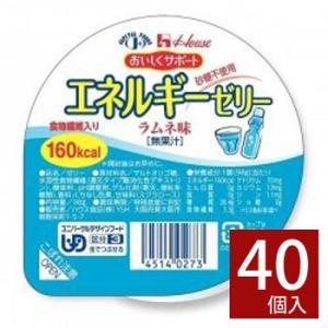 テルミール2.0α ストロベリー味 紙パック 200ml（400kcal）×24本 高