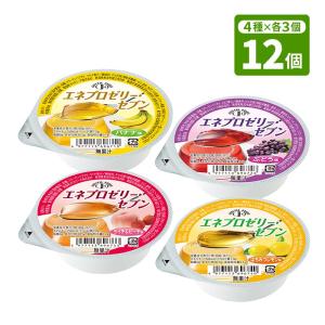 森永乳業 【賞味期限：2026年9月19日】森永乳業クリニコ エンジョイ