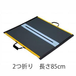 W545545「代引・同梱不可」ダンロップホームプロダクツ　ダンスロープ