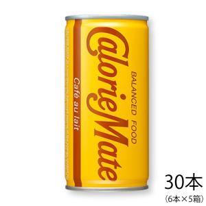 大塚製薬 (お取り寄せ可) ハイネックスイーゲルLC 400kcal 500ml×12袋